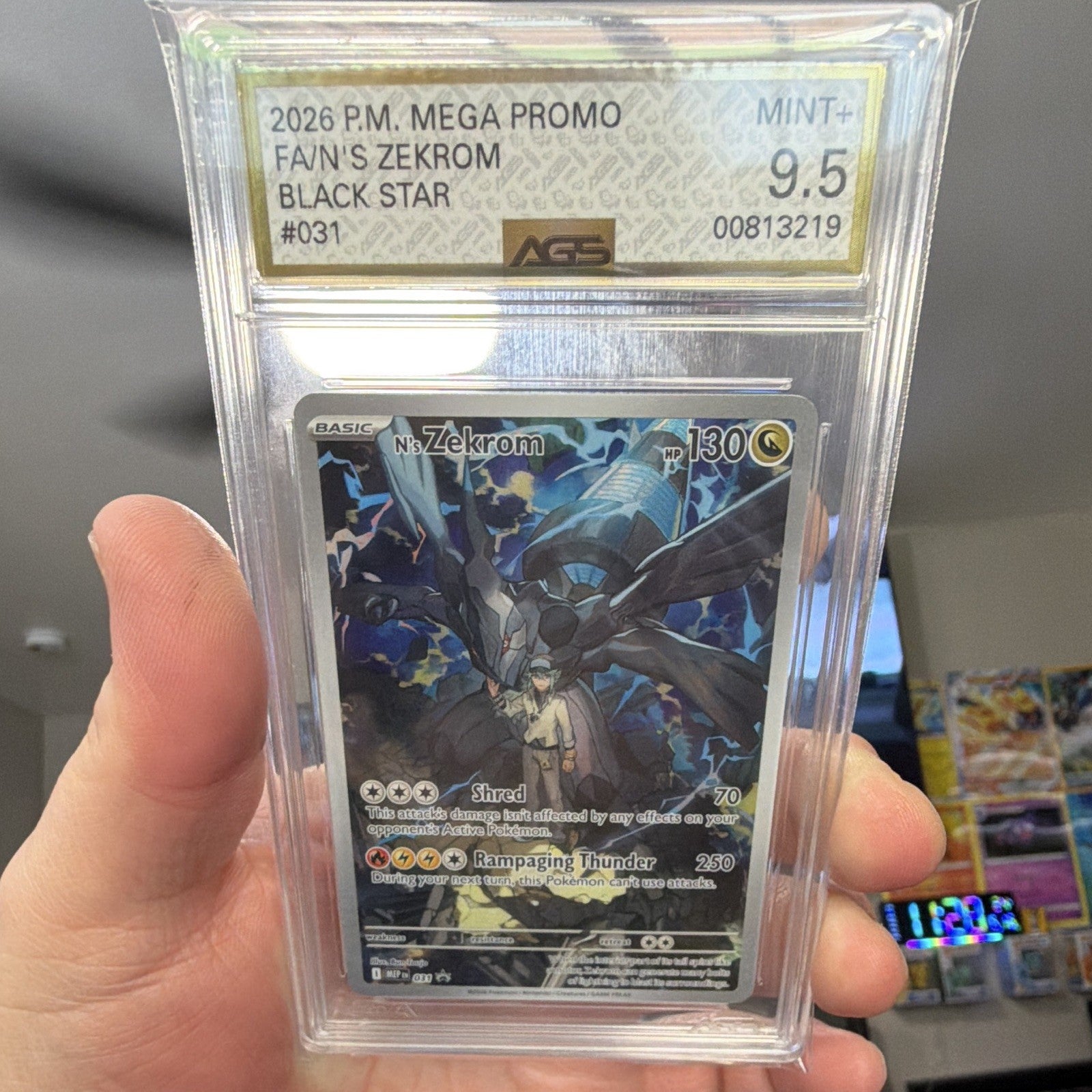 Ns Zekrom Promo 031 Black Star