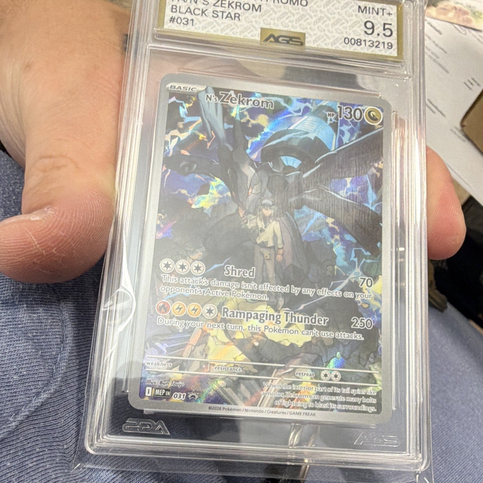 Ns Zekrom Promo 031 Black Star
