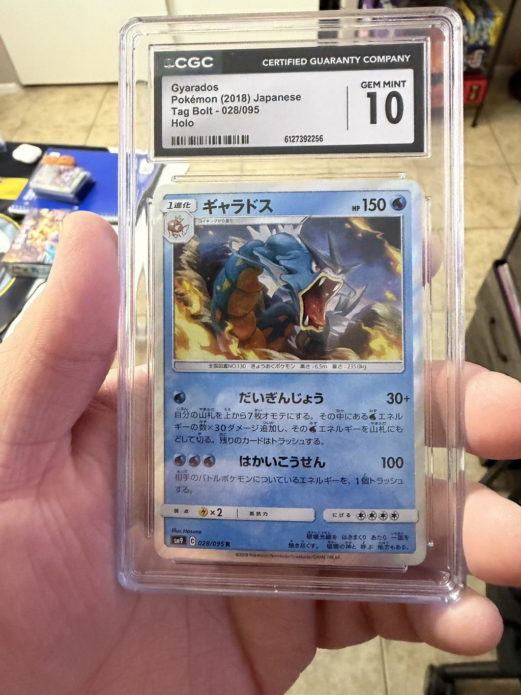 Pokemon Gyarados 028/095 SM9 Tag Bolt JP Holo Rare 2018 CGC 10